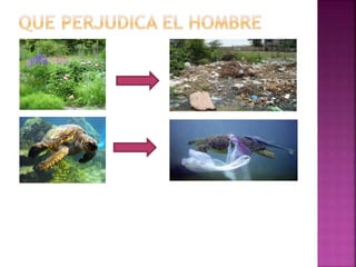 Contaminacion ambiental