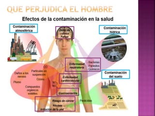 Contaminacion ambiental