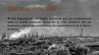 ¿Qué consecuencias tiene?
♥ Esta degradación del medio ambiente por un contaminante
externo puede provocar daños en la vida cotidiana del ser
humano y alterar las condiciones de supervivencia de la flora y
la fauna.
 