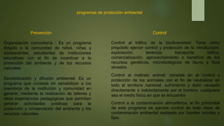programas de protección ambiental
Prevención
Organización comunitaria : Es un programa
dirigido a la comunidad de niños, niñas y
adolescentes, estudiantes de instituciones
educativas con el fin de incentivar a la
protección del ambiente y de los recursos
naturales
Sensibilización y difusión ambiental: Es un
programa que consiste en sensibilizar a los
miembros de la institución y comunidad en
general, mediante la realización de talleres y
otras experiencias pedagógicas que permitan
generar actividades positivas para la
protección y conservación del ambiente y los
recursos naturales.
Control
Control al tráfico de la biodiversidad: Tiene como
propósito ejercer control y protección de la introducción,
explotación, tenencia, transporte, tráfico,
comercialización, aprovechamiento o beneficio de los
recursos genéticos, microbiológicos de fauna y flora
silvestre.
Control al maltrato animal: consiste en el control y
protección de los animales con el fin de neutralizar en
todo el territorio nacional, sufrimiento y dolor causado
directamente o indirectamente por el hombre, cualquiera
sea el medio físico en que se encuentre
Control a la contaminación atmosférica: el fin primordial
de este programa es ejerces control de toda clase de
contaminación ambiental realizada por fuentes móviles o
fijas.
 