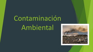 Contaminación
Ambiental
 