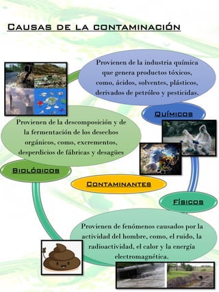 Causas de la contaminación
Contaminantes
Químicos
Físicos
Biológicos
Provienen de la industria química
que genera productos tóxicos,
como, ácidos, solventes, plásticos,
derivados de petróleo y pesticidas.
Provienen de fenómenos causados por la
actividad del hombre, como, el ruido, la
radioactividad, el calor y la energía
electromagnética.
Provienen de la descomposición y de
la fermentación de los desechos
orgánicos, como, excrementos,
desperdicios de fábricas y desagües
 