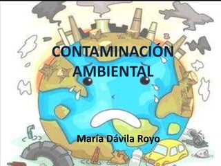 CONTAMINACIÓN
AMBIENTAL
María Dávila Royo
 