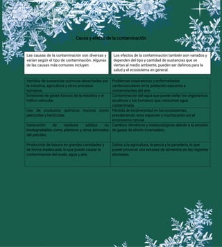 Causa y efecto de la contaminación
Vertidos de sustancias químicas desechadas por
la industria, agricultura y otros procesos
humanos.
Problemas respiratorios y enfermedades
cardiovasculares en la población expuesta a
contaminantes del aire.
Emisiones de gases tóxicos de la industria y el
tráfico vehicular.
Contaminación del agua que puede dañar los organismos
acuáticos y los humanos que consumen agua
contaminada.
Uso de productos químicos nocivos como
pesticidas y herbicidas
Pérdida de biodiversidad en los ecosistemas,
prevaleciendo unas especies y machacando así el
ecosistema natural.
Generación de residuos sólidos no
biodegradables como plásticos y otros derivados
del petróleo
Cambios climáticos y meteorológicos debido a la emisión
de gases de efecto invernadero.
Producción de basura en grandes cantidades y
de forma inadecuada, lo que puede causar la
contaminación del suelo, agua y aire.
Daños a la agricultura, la pesca y la ganadería, lo que
puede provocar una escasez de alimentos en las regiones
afectadas.
Los efectos de la contaminación también son variados y
dependen del tipo y cantidad de sustancias que se
viertan al medio ambiente, pueden ser dañinos para la
salud y el ecosistema en general.
Las causas de la contaminación son diversas y
varían según el tipo de contaminación. Algunas
de las causas más comunes incluyen:
 