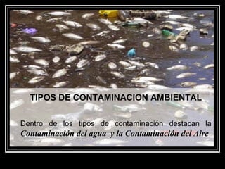 TIPOS DE CONTAMINACION AMBIENTAL
Dentro de los tipos de contaminación destacan la
Contaminación del agua y la Contaminación del AireContaminación del agua y la Contaminación del Aire
 