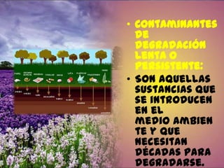 • Contaminantes
de
degradación
lenta o
persistente:
• Son aquellas
sustancias que
se introducen
en el
medio ambien
te y que
necesitan
décadas para
degradarse.

 