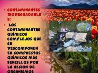 • Contaminantes
biodegradable
s:
• Los
contaminantes
químicos
complejos que
se
descomponen
en compuestos
químicos más
sencillos por
la acción de

 