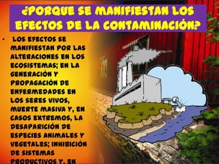 ¿Porque se manifiestan los
efectos de la contaminación?
•

Los efectos se
manifiestan por las
alteraciones en los
ecosistemas; en la
generación y
propagación de
enfermedades en
los seres vivos,
muerte masiva y, en
casos extremos, la
desaparición de
especies animales y
vegetales; inhibición
de sistemas

 