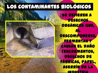 los contaminantes biológicos
Se refieren a
desechos
orgánicos que,
al
descomponerse,
fermentan y
causan el daño
(excrementos,
desechos de
fábricas, papel,
aserrín de la

 