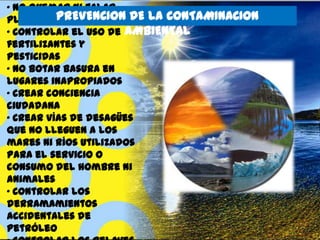„ No quemar ni talar
plantas PREVENCION DE LA CONTAMINACION
„ Controlar el uso de AMBIENTAL
fertilizantes y
pesticidas
„ No botar basura en
lugares inapropiados
„ Crear conciencia
ciudadana
„ Crear vías de desagües
que no lleguen a los
mares ni ríos utilizados
para el servicio o
consumo del hombre ni
animales
„ Controlar los
derramamientos
accidentales de
petróleo

 