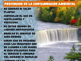 PREVENCION DE LA CONTAMINACION AMBIENTAL
• No quemar ni talar
plantas
• Controlar el uso de
fertilizantes y
pesticidas
• No botar basura en
lugares inapropiados
• Regular el servicio de
aseo urbano
• Crear vías de desagües
para las industrias que
no lleguen a los mares
ni ríos utilizados para
el servicio o consumo
del hombre ni animales

 