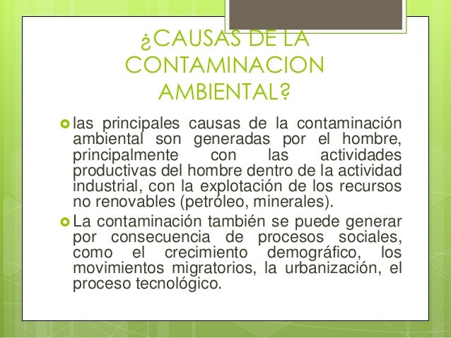 Contaminacion ambiental ensayo