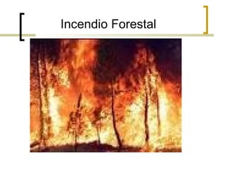 Incendio Forestal
 