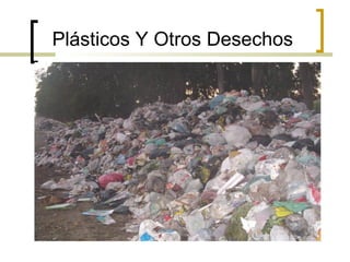 Plásticos Y Otros Desechos
 
