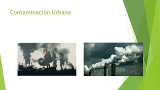 Contaminación Urbana
 