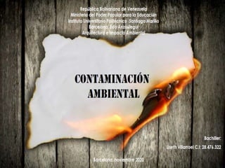 Contaminacion ambiental presentacion