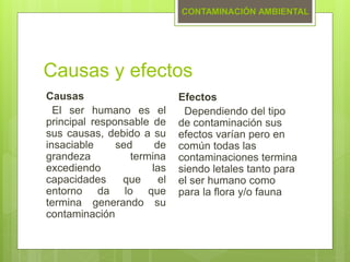 Causas y efectos
Causas
El ser humano es el
principal responsable de
sus causas, debido a su
insaciable sed de
grandeza termina
excediendo las
capacidades que el
entorno da lo que
termina generando su
contaminación
CONTAMINACIÓN AMBIENTAL
Efectos
Dependiendo del tipo
de contaminación sus
efectos varían pero en
común todas las
contaminaciones termina
siendo letales tanto para
el ser humano como
para la flora y/o fauna
 