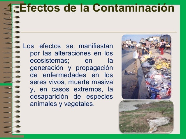 Contaminacion Ambiental y Mineria