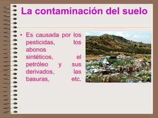 La contaminación del suelo

• Es causada por los
  pesticidas,    los
  abonos
  sintéticos,      el
  petróleo    y sus
  derivados,     las
  basuras,      etc.
 