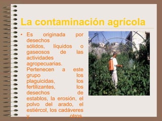 La contaminación agrícola
• Es       originada      por
  desechos
  sólidos,      líquidos    o
  gaseosos         de     las
  actividades
  agropecuarias.
  Pertenecen a este
  grupo                   los
  plaguicidas,            los
  fertilizantes,          los
  desechos                 de
  establos, la erosión, el
  polvo del arado, el
  estiércol, los cadáveres
  y                    otros.
 