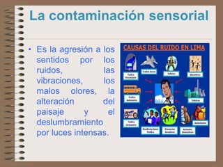 La contaminación sensorial

• Es la agresión a los
  sentidos por los
  ruidos,          las
  vibraciones,     los
  malos olores, la
  alteración       del
  paisaje      y     el
  deslumbramiento
  por luces intensas.
 