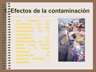 1. Efectos de la contaminación
  • Los      efectos se
    manifiestan por las
    alteraciones en los
    ecosistemas; en la
    generación         y
    propagación      de
    enfermedades en los
    seres vivos, muerte
    masiva y, en casos
    extremos,         la
    desaparición     de
    especies animales y
    vegetales.
 