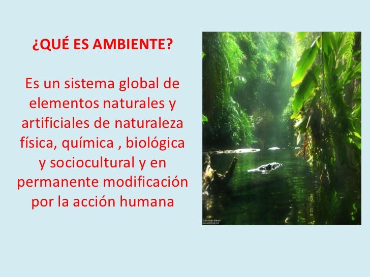 Contaminacion ambiental.