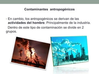 Contaminantes antropogénicos
• En cambio, los antropogénicos se derivan de las
actividades del hombre. Principalmente de la industria.
Dentro de este tipo de contaminación se divide en 2
grupos.
 