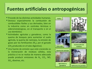 Fuentes artificiales o antropogénicas
 Procede de las distintas actividades humanas.
 Destaca especialmente la combustión de
combustibles fósiles y sus derivados, bien en
la industria como en centrales térmicas o
siderometalúrgicas, en el transporte o en el
uso doméstico.
 Actividades agrícolas y ganaderas, como la
quema de bosques para aumentar el suelo
agrícola, la quema de rastrojos, la emisión de
gases por los fertilizantes (N2), por el ganado
(CH4 producido en el tubo digestivo).
 Una fuente de emisión que está creciendo es
la incineración de residuos sólidos, esta
práctica si no se realiza de manera adecuada
puede producir emisiones de N2, CO2, NO,
SO3, dioxinas, etc.
Tráfico
Siderurgia
Quema de rastrojos
Incineración de
residuos
Agricultura y
ganadería Refinerías de petróleo
 