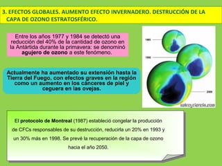 Entre los años 1977 y 1984 se detectó una
reducción del 40% de la cantidad de ozono en
la Antártida durante la primavera: se denominó
agujero de ozono a este fenómeno.
Actualmente ha aumentado su extensión hasta la
Tierra del Fuego, con efectos graves en la región
como un aumento en los cánceres de piel y
ceguera en las ovejas.
El protocolo de Montreal (1987) estableció congelar la producción
de CFCs responsables de su destrucción, reducirla un 20% en 1993 y
un 30% más en 1998. Se prevé la recuperación de la capa de ozono
hacia el año 2050.
3. EFECTOS GLOBALES. AUMENTO EFECTO INVERNADERO. DESTRUCCIÓN DE LA
CAPA DE OZONO ESTRATOSFÉRICO.
 