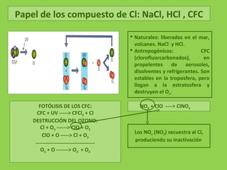 Papel de los compuesto de Cl: NaCl, HCl , CFC
FOTÓLISIS DE LOS CFC:
CFC + UV -----> CFCl2 + Cl
DESTRUCCIÓN DEL OZONO:
Cl + O3 ------> ClO + O2
ClO + O -----> Cl + O2
----------------------------------
O3 + O -------> O2 + O2
 Naturales: liberados en el mar,
volcanes. NaCl y HCl.
 Antropogénicos: CFC
(clorofluorcarbonados), en
propelentes de aerosoles,
disolventes y refrigerantes. Son
estables en la troposfera, pero
llegan a la estratosfera y
destruyen el Os.
NOX + ClO ----> ClNO3
Los NOx (NO2) secuestra al Cl,
produciendo su inactivación
 