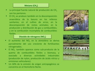  La principal fuente natural de producción de CH4
son los pantanos.
 El CH4 se produce también en la descomposición
anaeróbica de la basura en los rellenos
sanitarios; en el cultivo de arroz, en la
descomposición de restos animales; en la
producción y distribución de gas y combustibles;
y en la combustión incompleta de combustibles
fósiles.
Metano (CH4)
Dioxido de nitrogeno (NO2)
 El aumento del NO2 en la atmósfera se deriva
parcialmente del uso creciente de fertilizantes
nitrogenados.
 El NO2 también aparece como sub-producto de la
quema de combustibles fósiles y biomasa, y
asociado a diversas actividades industriales
(producción de nylon, producción de ácido nítrico y
emisiones vehiculares).
 Un 60% de la emisión de origen antropogénico se
concentra en el Hemisferio Norte.
 