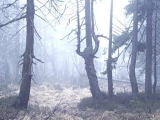 Contaminacion atmosferica