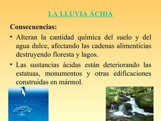LA LLUVIA ÁCIDA
Consecuencias:
• Alteran la cantidad química del suelo y del
agua dulce, afectando las cadenas alimenticias
destruyendo floresta y lagos.
• Las sustancias ácidas están deteriorando las
estatuas, monumentos y otras edificaciones
construidas en mármol.
 