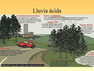 Lluvia ácida
 