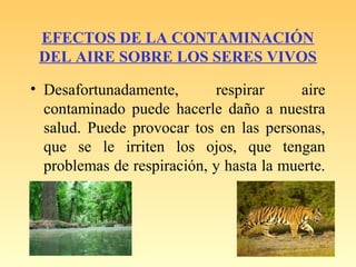 EFECTOS DE LA CONTAMINACIÓN
DEL AIRE SOBRE LOS SERES VIVOS
• Desafortunadamente, respirar aire
contaminado puede hacerle daño a nuestra
salud. Puede provocar tos en las personas,
que se le irriten los ojos, que tengan
problemas de respiración, y hasta la muerte.
 
