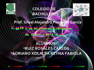COLEGIO DE BACHILLERES Prof. Israel Alejandro Pimentel García ,[object Object],[object Object],[object Object]