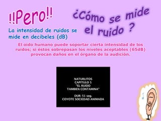 La intensidad de ruidos se
mide en decibeles (dB)
El oído humano puede soportar cierta intensidad de los
ruidos; si éstos sobrepasan los niveles aceptables (65dB)
provocan daños en el órgano de la audición.
 
