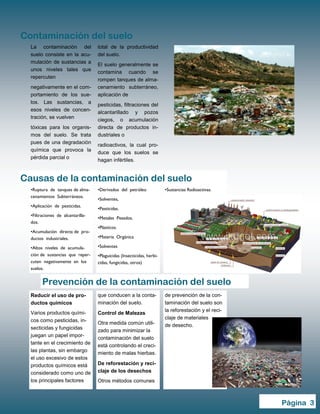 La contaminación del
suelo consiste en la acu-
mulación de sustancias a
unos niveles tales que
repercuten
negativamente en el com-
portamiento de los sue-
los. Las sustancias, a
esos niveles de concen-
tración, se vuelven
tóxicas para los organis-
mos del suelo. Se trata
pues de una degradación
química que provoca la
pérdida parcial o
total de la productividad
del suelo.
El suelo generalmente se
contamina cuando se
rompen tanques de alma-
cenamiento subterráneo,
aplicación de
pesticidas, filtraciones del
alcantarillado y pozos
ciegos, o acumulación
directa de productos in-
dustriales o
radioactivos, la cual pro-
duce que los suelos se
hagan infértiles.
que conducen a la conta-
minación del suelo.
Control de Malezas
Otra medida común utili-
zado para minimizar la
contaminación del suelo
está controlando el creci-
miento de malas hierbas.
De reforestación y reci-
claje de los desechos
Otros métodos comunes
Reducir el uso de pro-
ductos químicos
Varios productos quími-
cos como pesticidas, in-
secticidas y fungicidas
juegan un papel impor-
tante en el crecimiento de
las plantas, sin embargo
el uso excesivo de estos
productos químicos está
considerado como uno de
los principales factores
de prevención de la con-
taminación del suelo son
la reforestación y el reci-
claje de materiales
de desecho.
Contaminación del suelo
Prevención de la contaminación del suelo
Causas de la contaminación del suelo
•Derivados del petróleo
•Solventes,
•Pesticidas.
•Metales Pesados.
•Plásticos.
•Materia Orgánica
•Solventes
•Plaguicidas (Insecticidas, herbi-
cidas, fungicidas, otros)
•Sustancias Radioactivas.
•Ruptura de tanques de alma-
cenamientos Subterráneos.
•Aplicación de pesticidas.
•Filtraciones de alcantarilla-
dos.
•Acumulación directa de pro-
ductos industriales.
•Altos niveles de acumula-
ción de sustancias que reper-
cuten negativamente en los
suelos.
Página 3
 