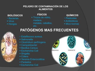 PELIGRO DE CONTAMINACIÓN DE LOS
ALIMENTOS
BIOLÓGICOS
 Bacterias
 Virus
 Hongos
FÍSICOS
 Trozos de vidrio,
madera,
metales, cabellos,
etc.
QUÍMICOS
 Pesticidas
 Antibióticos
 Mico toxinas
PATÓGENOS MAS FRECUENTES
 Estafilococo aureus.
 Salmonella
 Clostridium perfringens
 Campylobacter
 Bacillus Cereus
 Escherichia Coli
 Shigella
 Cólera
 Yersinia Enterocolitica
 Parásitos
 Escherichia Coli
 