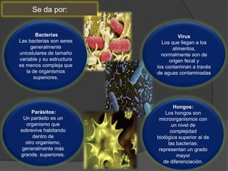 Bacterias
Las bacterias son seres
generalmente
unicelulares de tamaño
variable y su estructura
es menos compleja que
la de organismos
superiores.
Parásitos:
Un parásito es un
organismo que
sobrevive habitando
dentro de
otro organismo,
generalmente más
grande. superiores.
Hongos:
Los hongos son
microorganismos con
un nivel de
complejidad
biológica superior al de
las bacterias;
representan un grado
mayor
de diferenciación.
Virus
Los que llegan a los
alimentos,
normalmente son de
origen fecal y
los contaminan a través
de aguas contaminadas
Se da por:
 