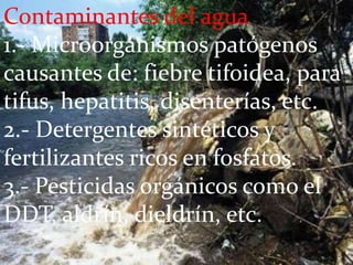 Contaminantes del agua 1.- Microorganismos patógenos causantes de: fiebre tifoidea, para tifus, hepatitis, disenterías, etc. 2.- Detergentes sintéticos y fertilizantes ricos en fosfatos. 3.- Pesticidas orgánicos como el DDT, aldrín, dieldrín, etc. 