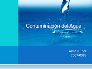 Aime Núñez
2007-0383
 