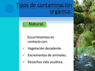 Tipos de contaminación
orgánica:
1. Natural:
Escurrimientos en
contacto con:
 Vegetación decadente.
 Excrementos de animales.
 Desechos vida acuática.
 