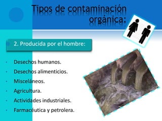 Tipos de contaminación
orgánica:
 2. Producida por el hombre:
• Desechos humanos.
• Desechos alimenticios.
• Misceláneos.
• Agricultura.
• Actividades industriales.
• Farmacéutica y petrolera.
 