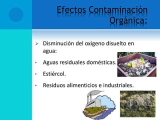 Efectos Contaminación
Orgánica:
 Disminución del oxigeno disuelto en
agua:
• Aguas residuales domésticas.
• Estiércol.
• Residuos alimenticios e industriales.
 