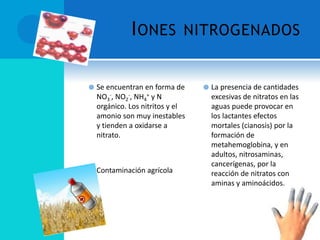 IONES NITROGENADOS
 Se encuentran en forma de
NO3
-, NO2
-, NH4
+ y N
orgánico. Los nitritos y el
amonio son muy inestables
y tienden a oxidarse a
nitrato.
 Contaminación agrícola
 La presencia de cantidades
excesivas de nitratos en las
aguas puede provocar en
los lactantes efectos
mortales (cianosis) por la
formación de
metahemoglobina, y en
adultos, nitrosaminas,
cancerígenas, por la
reacción de nitratos con
aminas y aminoácidos.
 