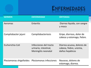 ENFERMEDADES
GERMEN ENFERMEDAD SÍNTOMAS
Aeromas Enteritis Diarrea líquida, con sangre
y moco
Campilobacter jejuni Campilobacteriosis Gripe, diarreas, dolor de
cabeza y estomago, fiebre.
Escherichia Coli Infecciones del tracto
urinario, intestinal,
Meningitis neonatal
Diarrea acuosa, dolores de
cabeza, fiebre, uremia,
daños hepáticos
Plesiomonas shigelloides Plesiomonas infecciones Nauseas, dolores de
estomago, diarrea.
 