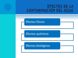 EFECTOS DE LA
CONTAMINACION DEL AGUA
Efectos físicos
Efectos químicos
Efectos biológicos
 