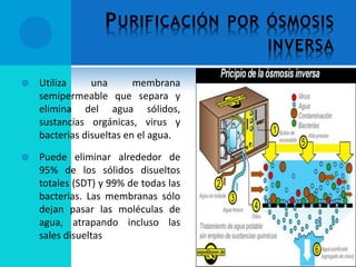 PURIFICACIÓN POR ÓSMOSIS
INVERSA
 Utiliza una membrana
semipermeable que separa y
elimina del agua sólidos,
sustancias orgánicas, virus y
bacterias disueltas en el agua.
 Puede eliminar alrededor de
95% de los sólidos disueltos
totales (SDT) y 99% de todas las
bacterias. Las membranas sólo
dejan pasar las moléculas de
agua, atrapando incluso las
sales disueltas
 
